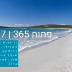 טראפיק לאתר: איך גולשים מגיעים אליכם?